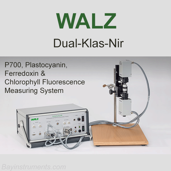 DUAL-KLAS-NIR P700, Plastocyanin, Ferredoxin & Chlorophyll Fluorescence Measuring System, Walz Fluorometers and Photosynthesis Equipment - Bay Instruments, LLC