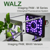 Walz Imaging PAM M Series, Walz Fluorometers and Photosynthesis Equipment - Bay Instruments, LLC