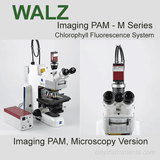 Walz Imaging PAM M Series, Walz Fluorometers and Photosynthesis Equipment - Bay Instruments, LLC