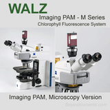 Walz Imaging PAM M Series, Walz Fluorometers and Photosynthesis Equipment - Bay Instruments, LLC