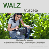 Walz PAM-2500 Fluorometer, Walz Fluorometers and Photosynthesis Equipment - Bay Instruments, LLC