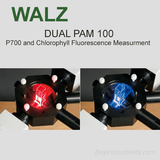 Walz DUAL-PAM-100 P700 and Chlorophyll Fluorescence Measuring System, Walz Fluorometers and Photosynthesis Equipment - Bay Instruments, LLC