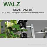 Walz DUAL-PAM-100 P700 and Chlorophyll Fluorescence Measuring System, Walz Fluorometers and Photosynthesis Equipment - Bay Instruments, LLC