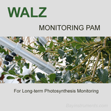 Walz MONITORING-PAM Fluorometer, Walz Fluorometers and Photosynthesis Equipment - Bay Instruments, LLC