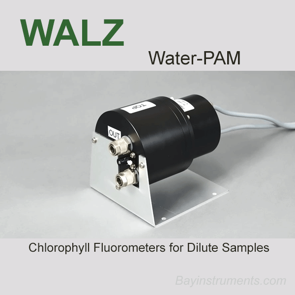 WATERPAM Chlorophyll Fluorometers for Dilute Samples Bay Instruments