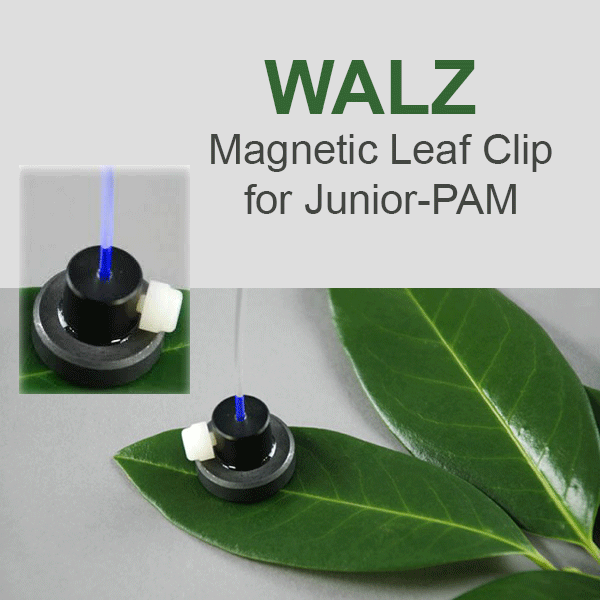 Walz JUNIOR-PAM Magnetic Leaf Clip, Walz Fluorometers and Photosynthesis Equipment - Bay Instruments, LLC