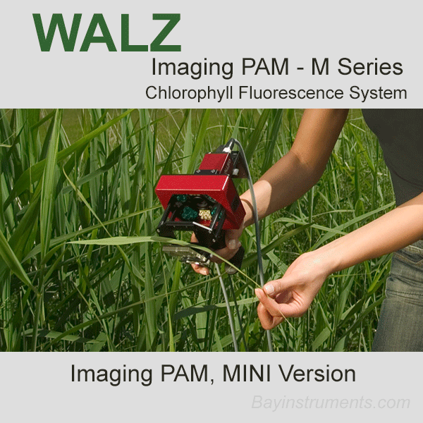 Walz Imaging PAM M Series, Walz Fluorometers and Photosynthesis Equipment - Bay Instruments, LLC