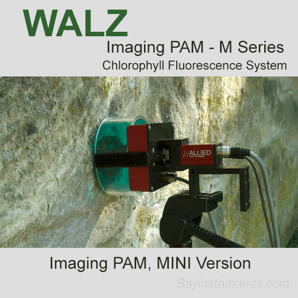 Walz Imaging PAM M Series, Walz Fluorometers and Photosynthesis Equipment - Bay Instruments, LLC