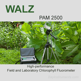 Walz PAM-2500 Fluorometer, Walz Fluorometers and Photosynthesis Equipment - Bay Instruments, LLC