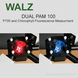 Walz DUAL-PAM-100 P700 and Chlorophyll Fluorescence Measuring System, Walz Fluorometers and Photosynthesis Equipment - Bay Instruments, LLC