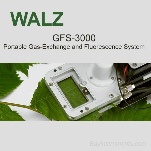 Walz GFS-3000 Portable Gas-Exchange and Fluorescence System, Walz Fluorometers and Photosynthesis Equipment - Bay Instruments, LLC