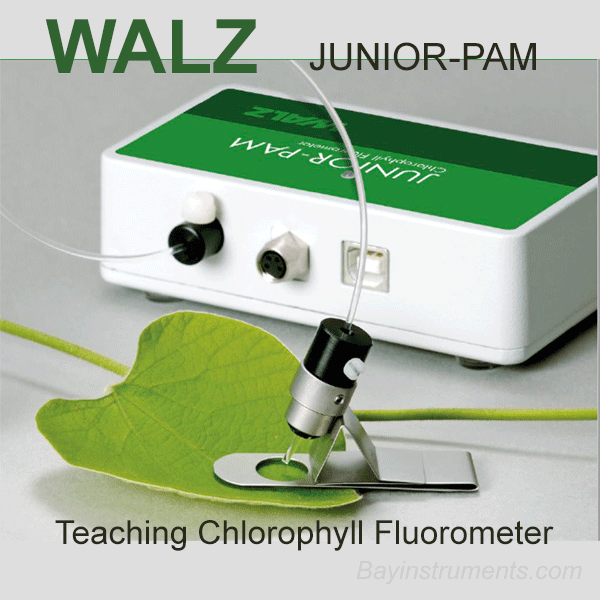 Walz JUNIOR-PAM Teaching Chlorophyll Fluorometer, Walz Fluorometers and Photosynthesis Equipment - Bay Instruments, LLC