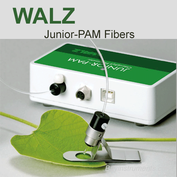 Walz Junior-PAM Fibers (Light Guide), Walz Fluorometers and Photosynthesis Equipment - Bay Instruments, LLC