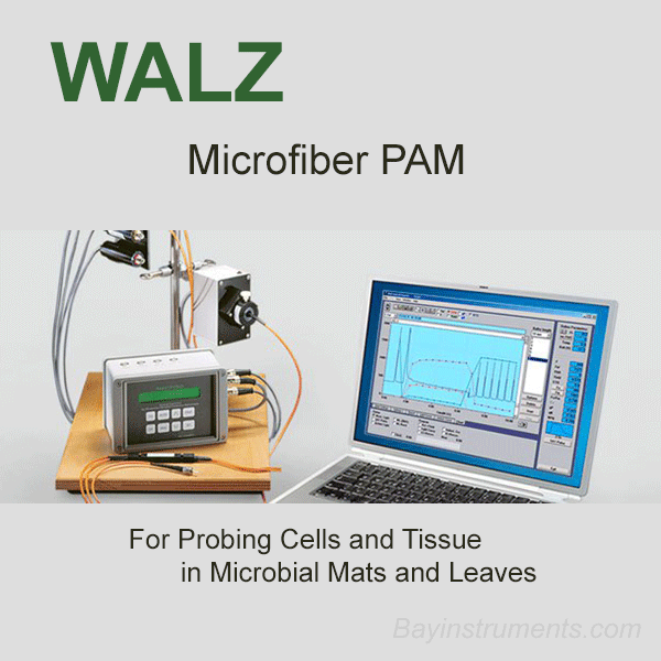 Walz MICROFIBER-PAM, Walz Fluorometers and Photosynthesis Equipment - Bay Instruments, LLC