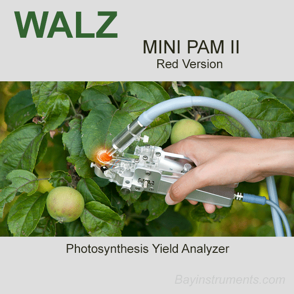 Walz MINI-PAM II Photosynthesis Yield Analyzer, Walz Fluorometers and Photosynthesis Equipment - Bay Instruments, LLC