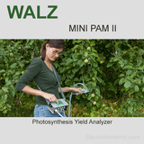 Walz MINI-PAM II Photosynthesis Yield Analyzer, Walz Fluorometers and Photosynthesis Equipment - Bay Instruments, LLC