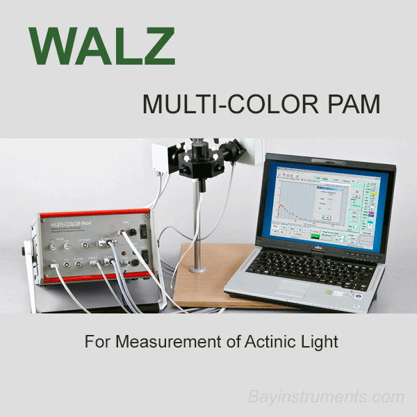 Walz MULTI-COLOR-PAM Fluorometer, Walz Fluorometers and Photosynthesis Equipment - Bay Instruments, LLC