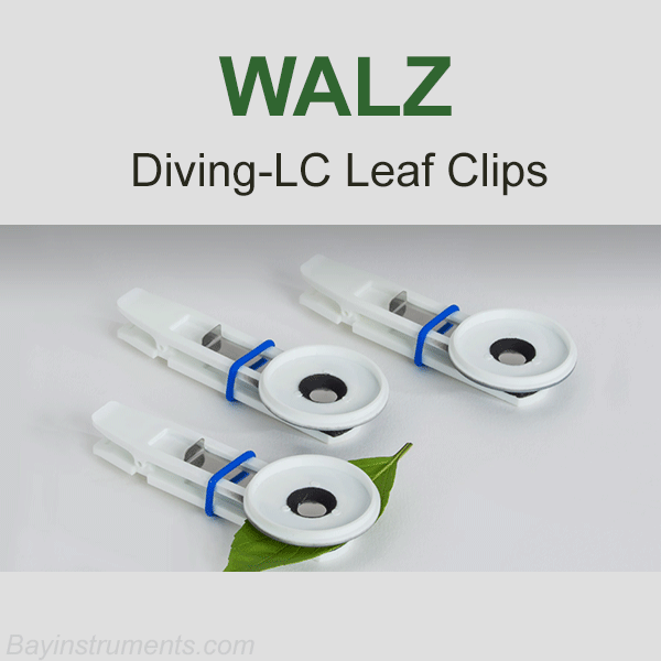 DIVING-LC Underwater Leaf Clips for DIVING-PAM (3pcs) – Bay DIVING-LC Underwater Leaf Clips for DIVING-PAM (3pcs) – Bay